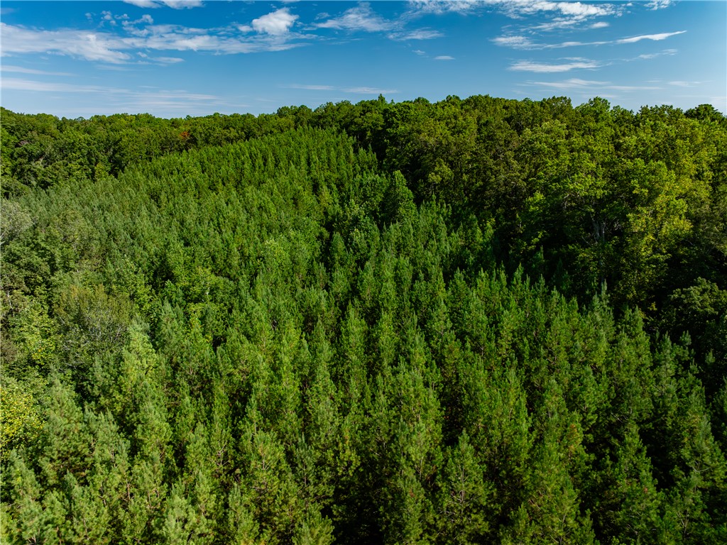 1 Bayshore Drive Seneca, SC 29672 - Photo 15 of 25