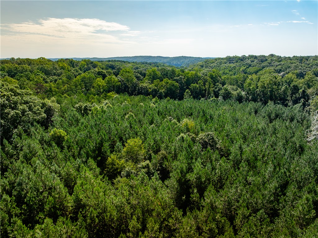 1 Bayshore Drive Seneca, SC 29672 - Photo 16 of 25