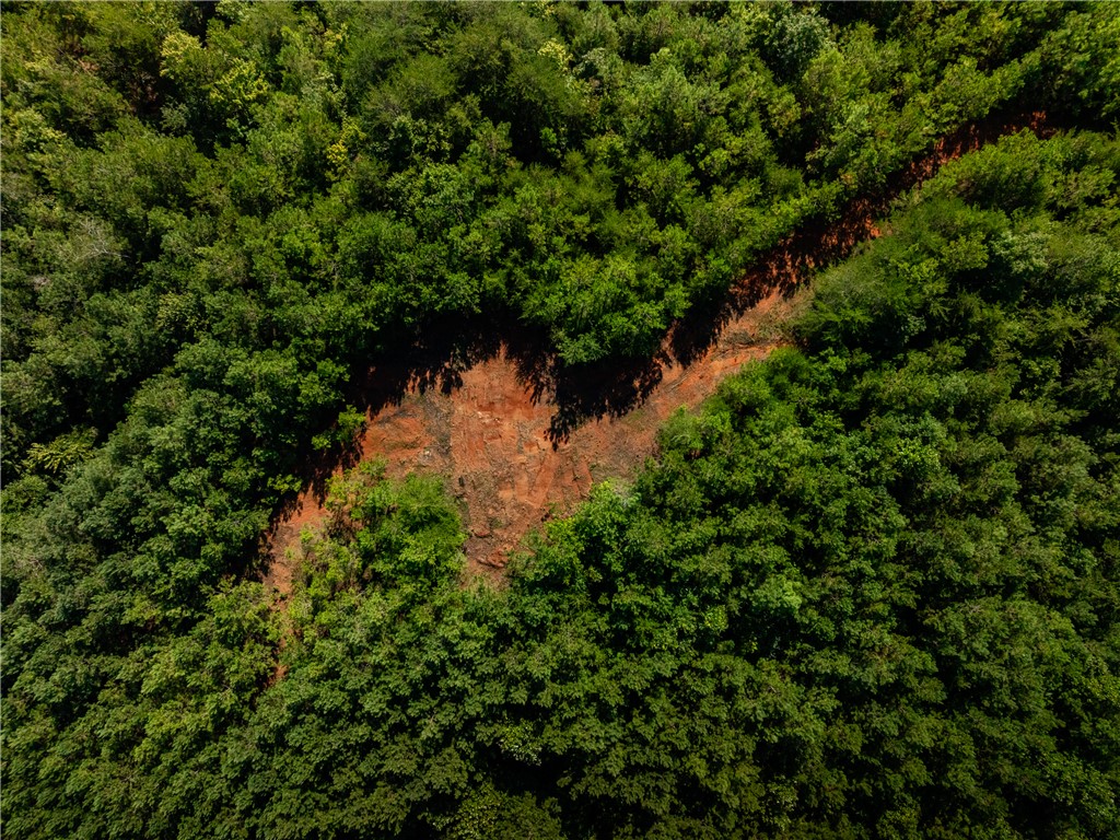 1 Bayshore Drive Seneca, SC 29672 - Photo 19 of 25