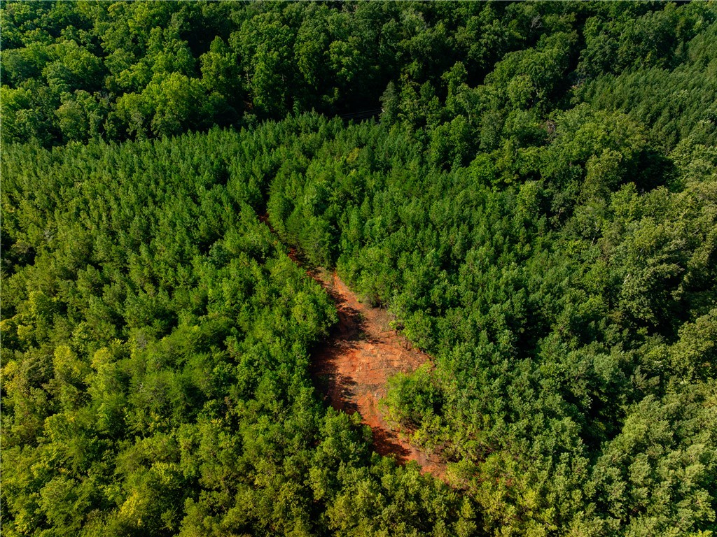 1 Bayshore Drive Seneca, SC 29672 - Photo 4 of 25