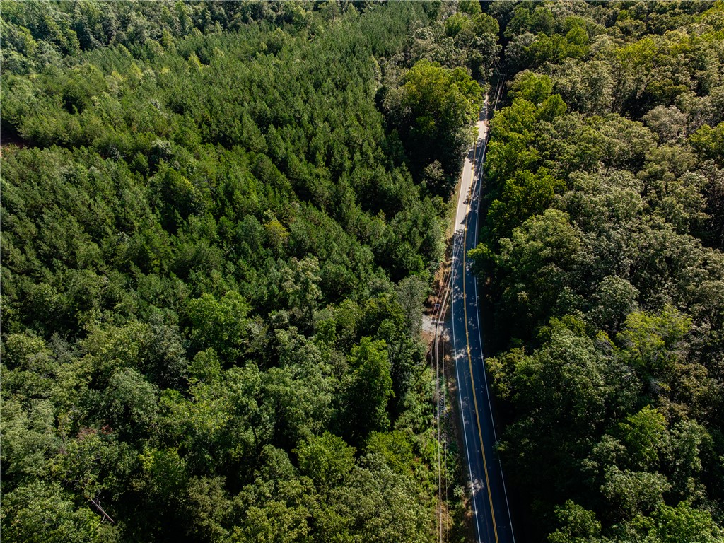 1 Bayshore Drive Seneca, SC 29672 - Photo 6 of 25