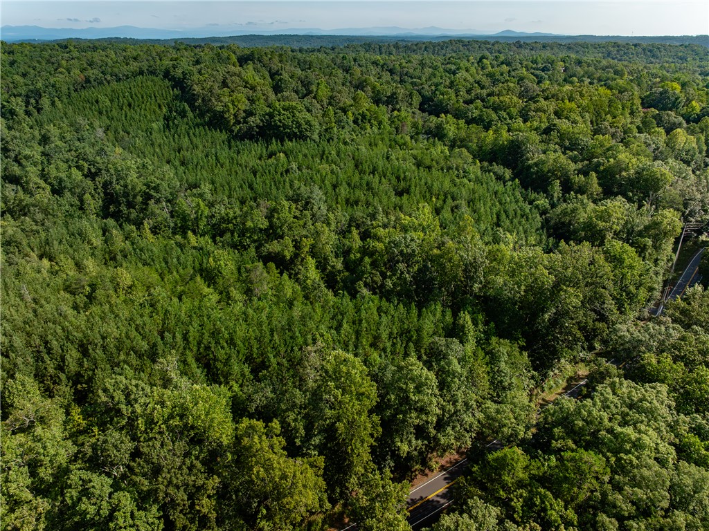 1 Bayshore Drive Seneca, SC 29672 - Photo 7 of 25