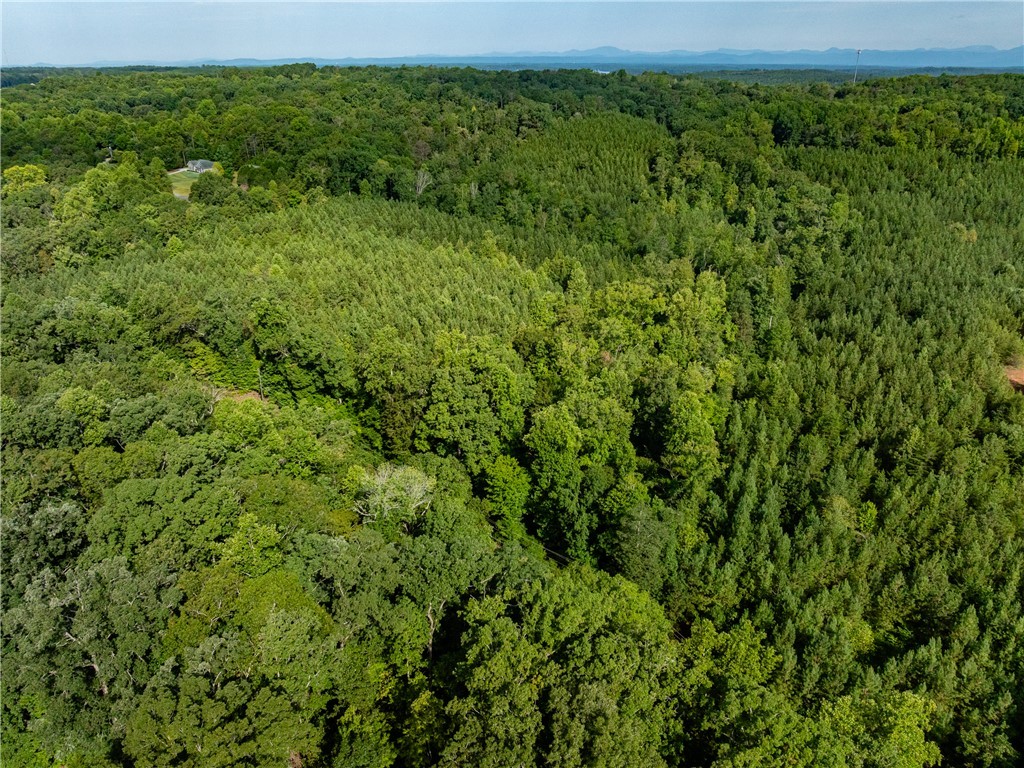 1 Bayshore Drive Seneca, SC 29672 - Photo 8 of 25