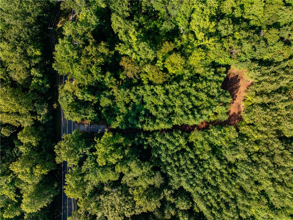 1 Bayshore Drive Seneca, SC 29672 - Photo 9 of 25