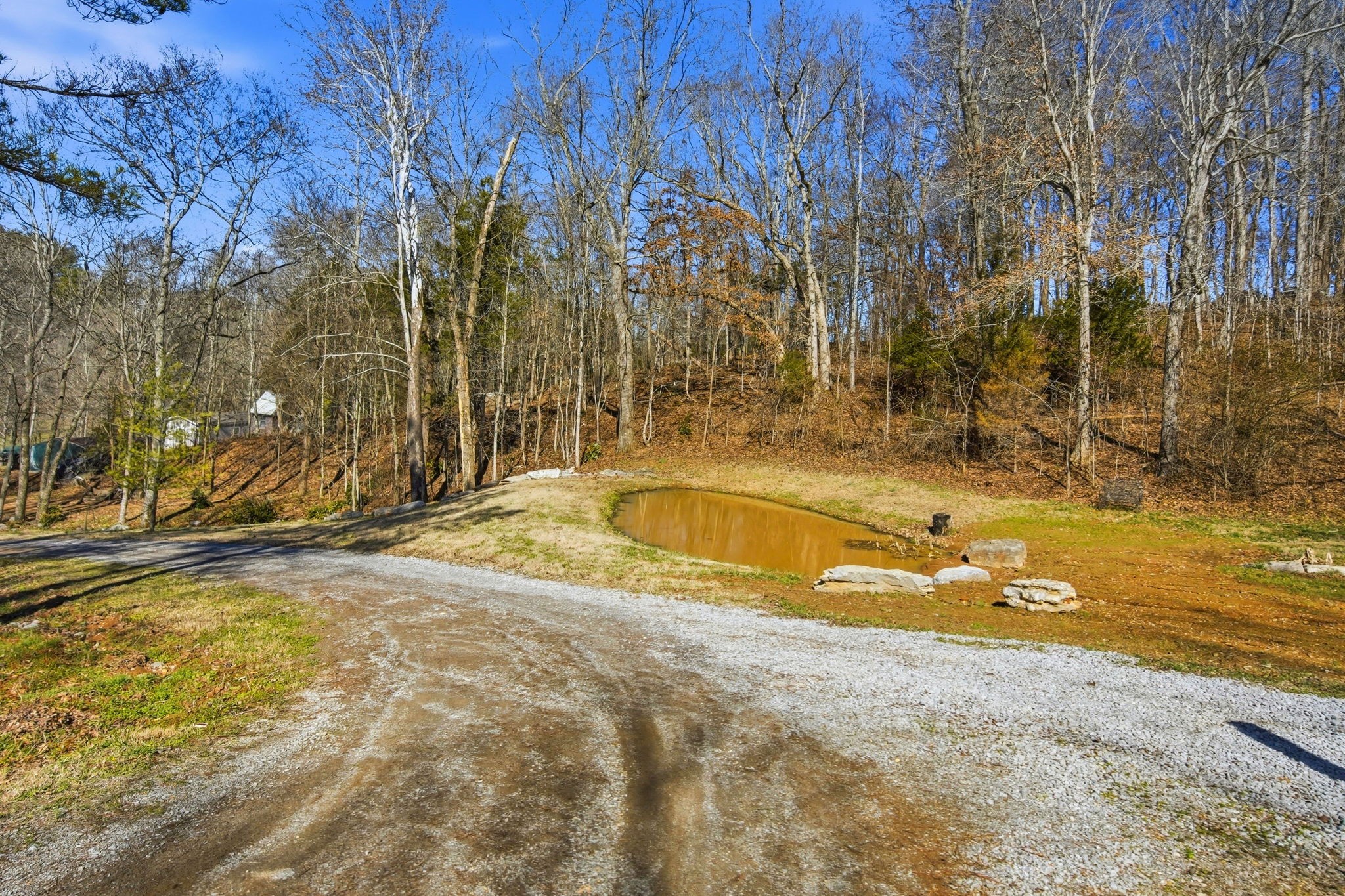 3611 Cooper Nicholson Road Pleasant View, TN 37146 - Photo 13 of 60 a view of a swimming pool with an outdoor space
