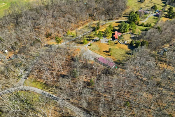 a view of a yard with a tree