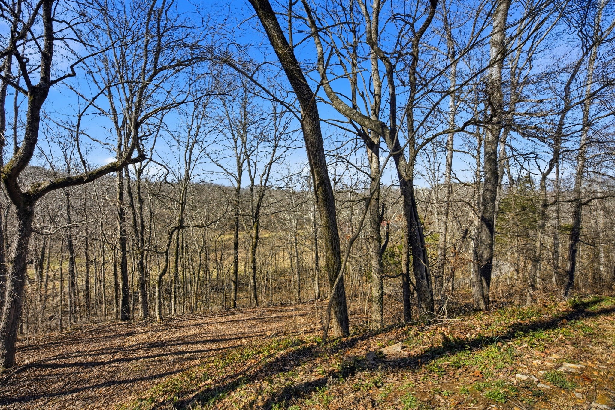 3611 Cooper Nicholson Road Pleasant View, TN 37146 - Photo 56 of 60 a view of a backyard of the house