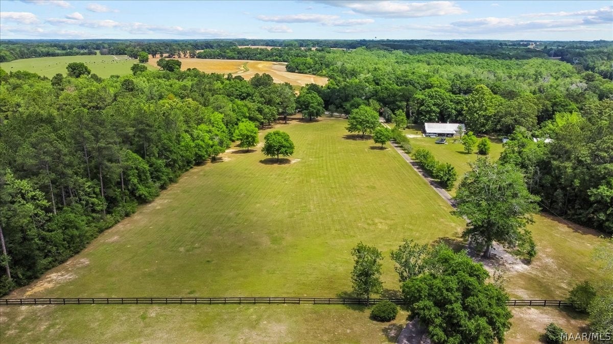 2613 Goose Hollow Road Geneva, AL 36340 - Photo 59 of 63 Gallery Image 59