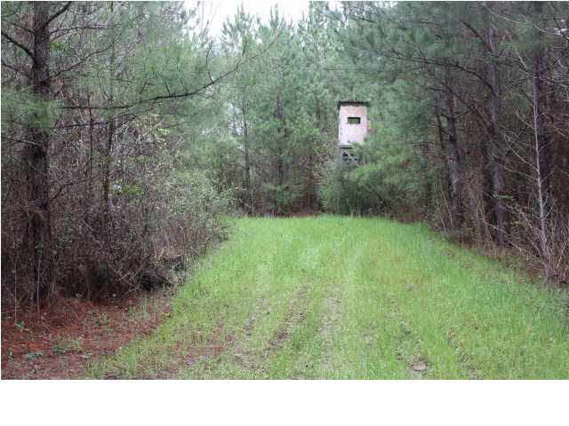1 Mt Zion Road Northwest Wesson, MS 39191 - Photo 1 of 4 Photo 1