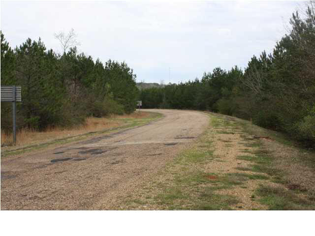 1 Mt Zion Road Northwest Wesson, MS 39191 - Photo 2 of 4 Photo 2