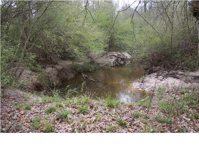 1 Mt Zion Road Northwest Wesson, MS 39191 - Photo 4 of 4 Photo 4