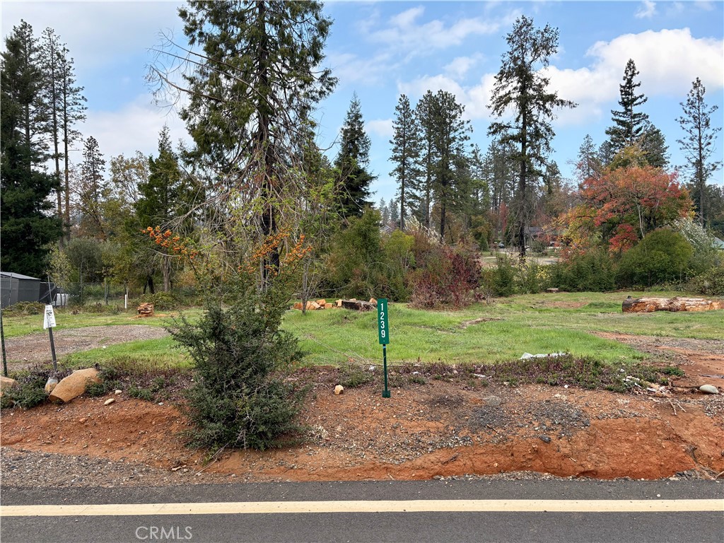 1239 Elliott Road Paradise, CA 95969 - Photo 1 of 1 Gallery Image 1