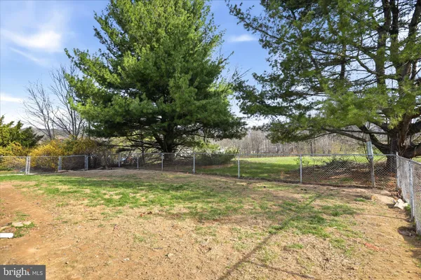 a view of a yard with a tree