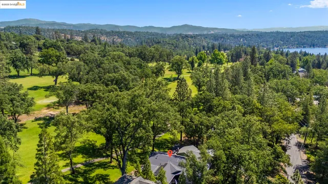 a view of a lush green field with lots of bushes