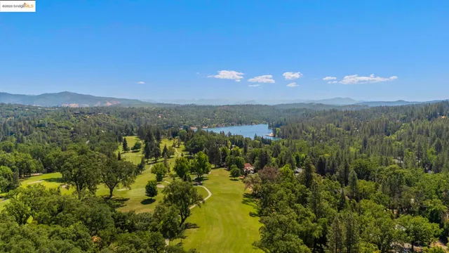 a view of a lake in middle of the forest