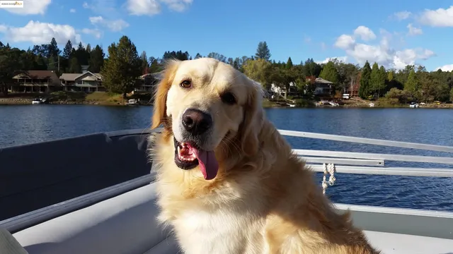 $620,000 | 19400 Reid Circle, Groveland, CA 95321