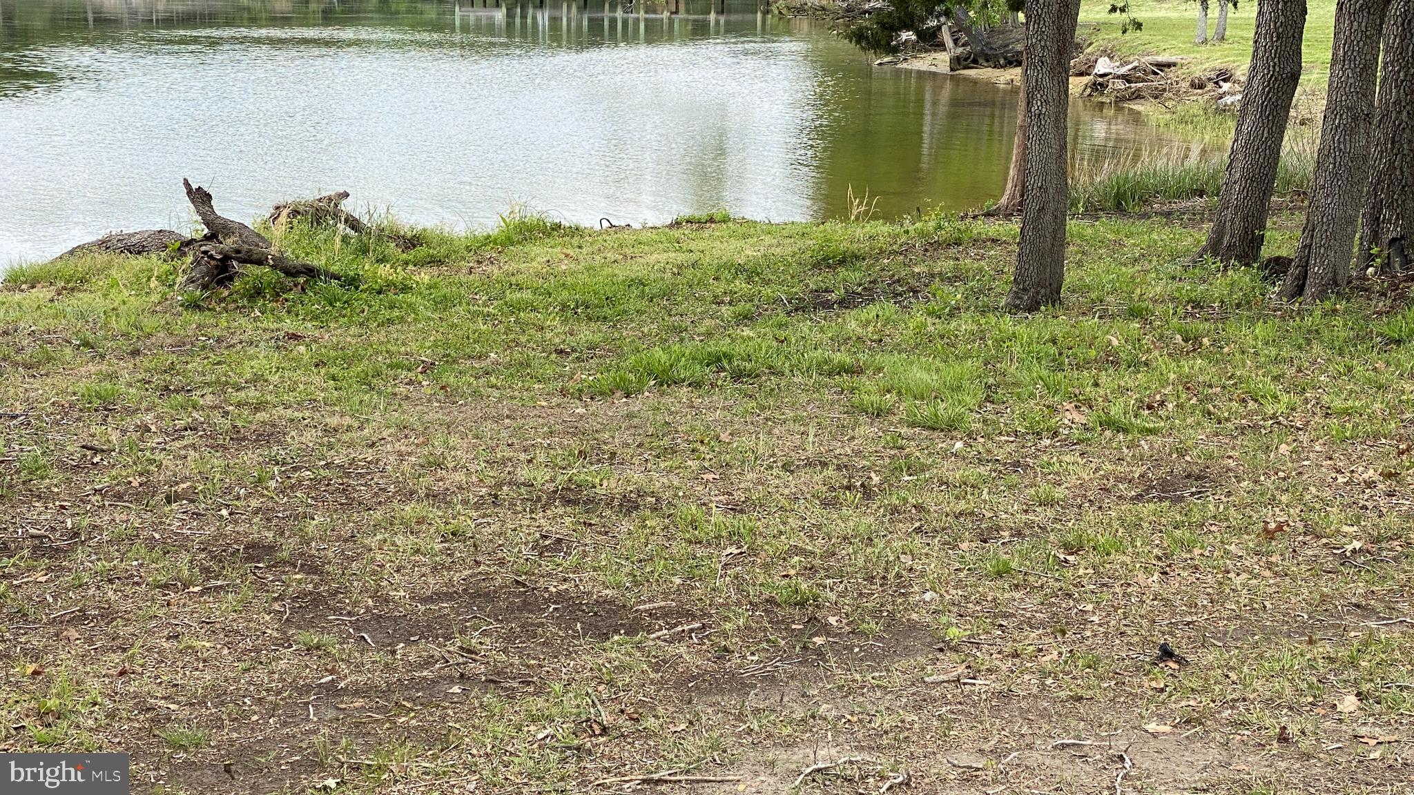 39645 Sweetpea Lane Leonardtown, MD 20650 - Photo 19 of 66 a view of a lake with a yard