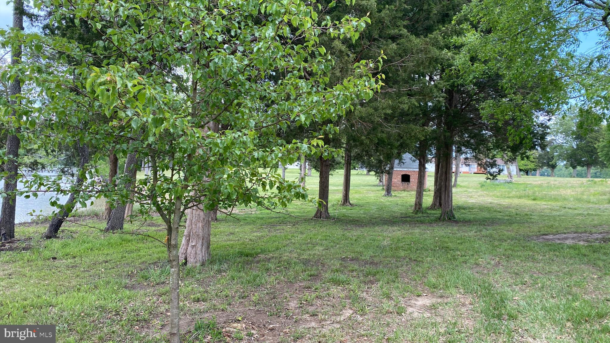 39645 Sweetpea Lane Leonardtown, MD 20650 - Photo 20 of 66 a view of a trees in a yard