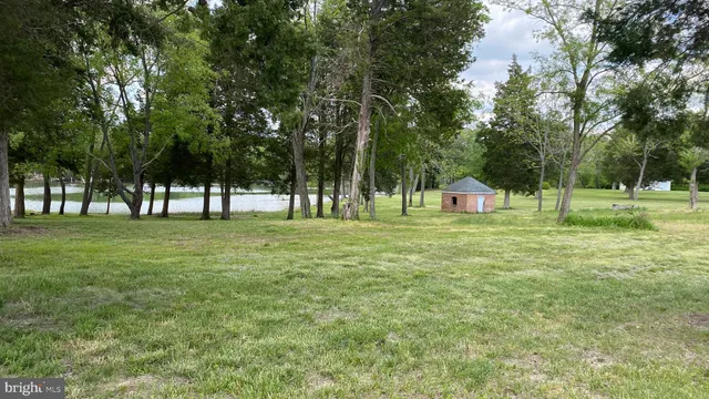 a view of outdoor space and garden