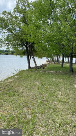a view of a trees in a yard
