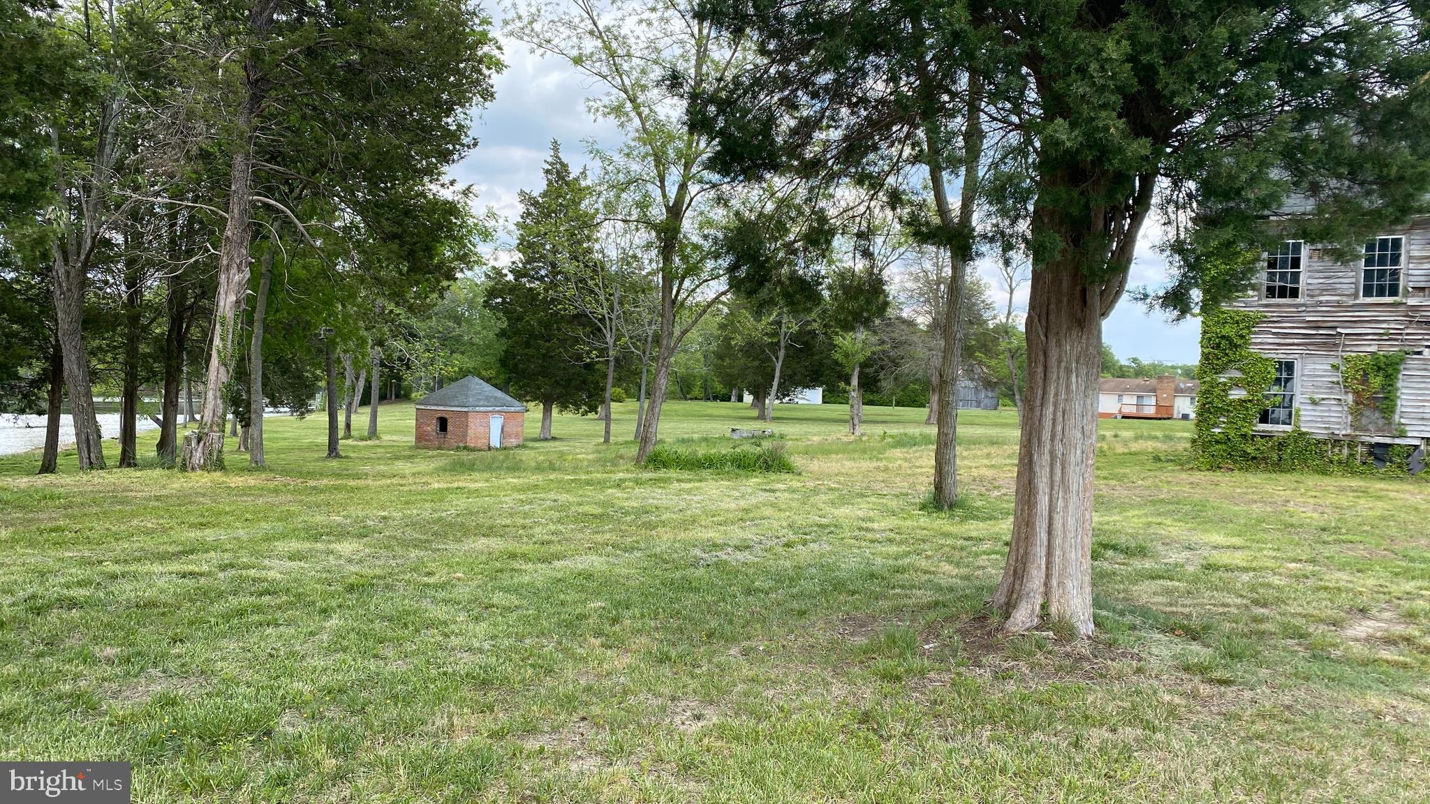 39645 Sweetpea Lane Leonardtown, MD 20650 - Photo 31 of 66 a view of a tree in a yard