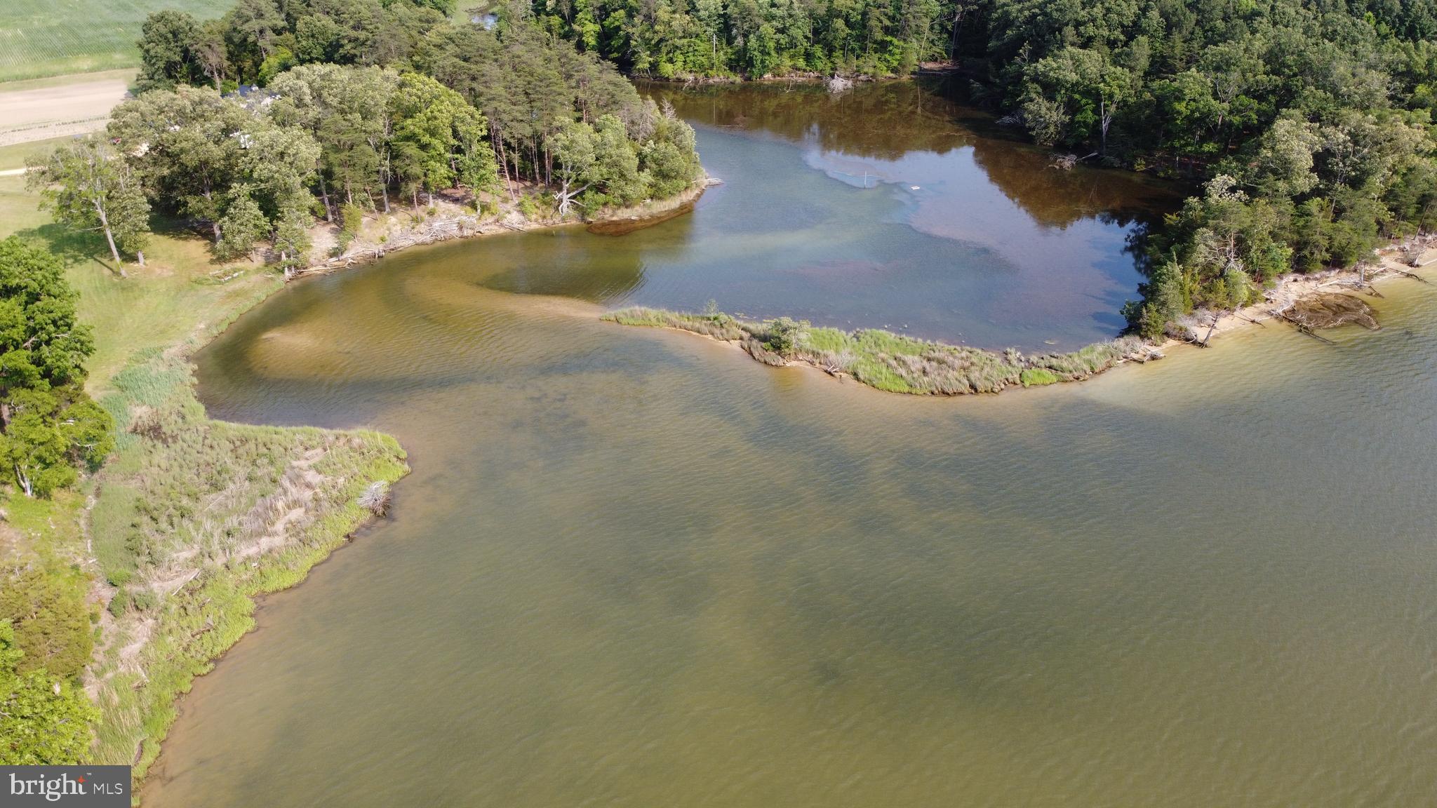39645 Sweetpea Lane Leonardtown, MD 20650 - Photo 59 of 66 a view of a lake in a forest