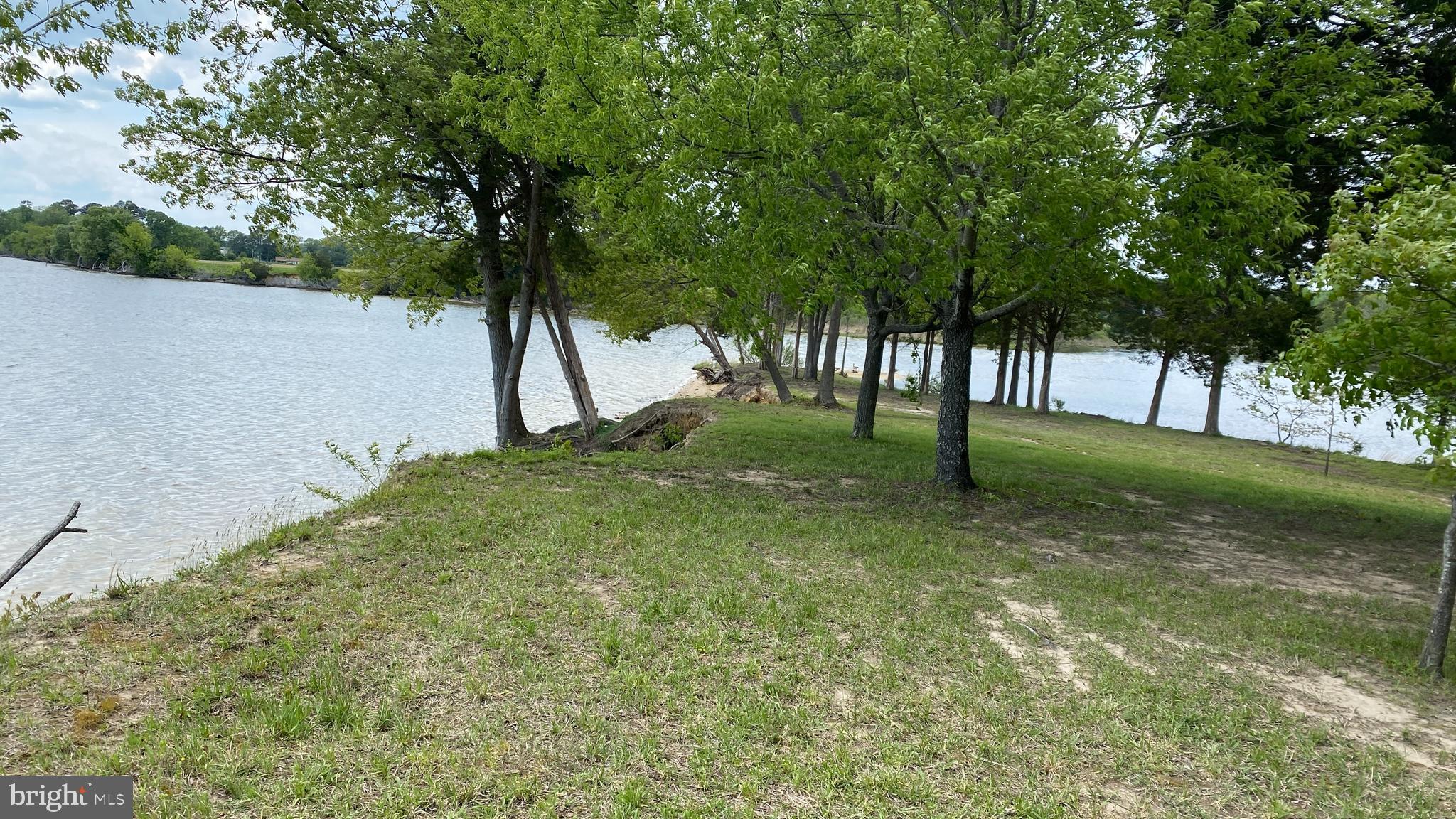 39645 Sweetpea Lane Leonardtown, MD 20650 - Photo 6 of 66 a view of a trees with a yard