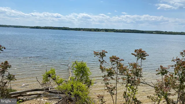 a view of a lake with a garden