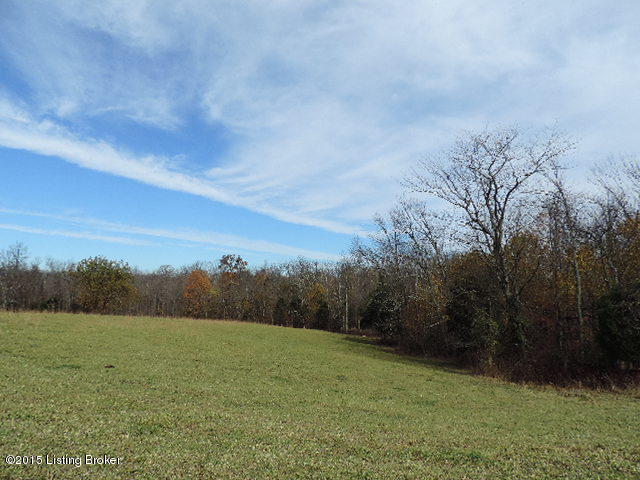 3098 Sulphur Road Sulphur, KY 40070 - Photo 2 of 48 There is plenty of room to ride horses or raise crops