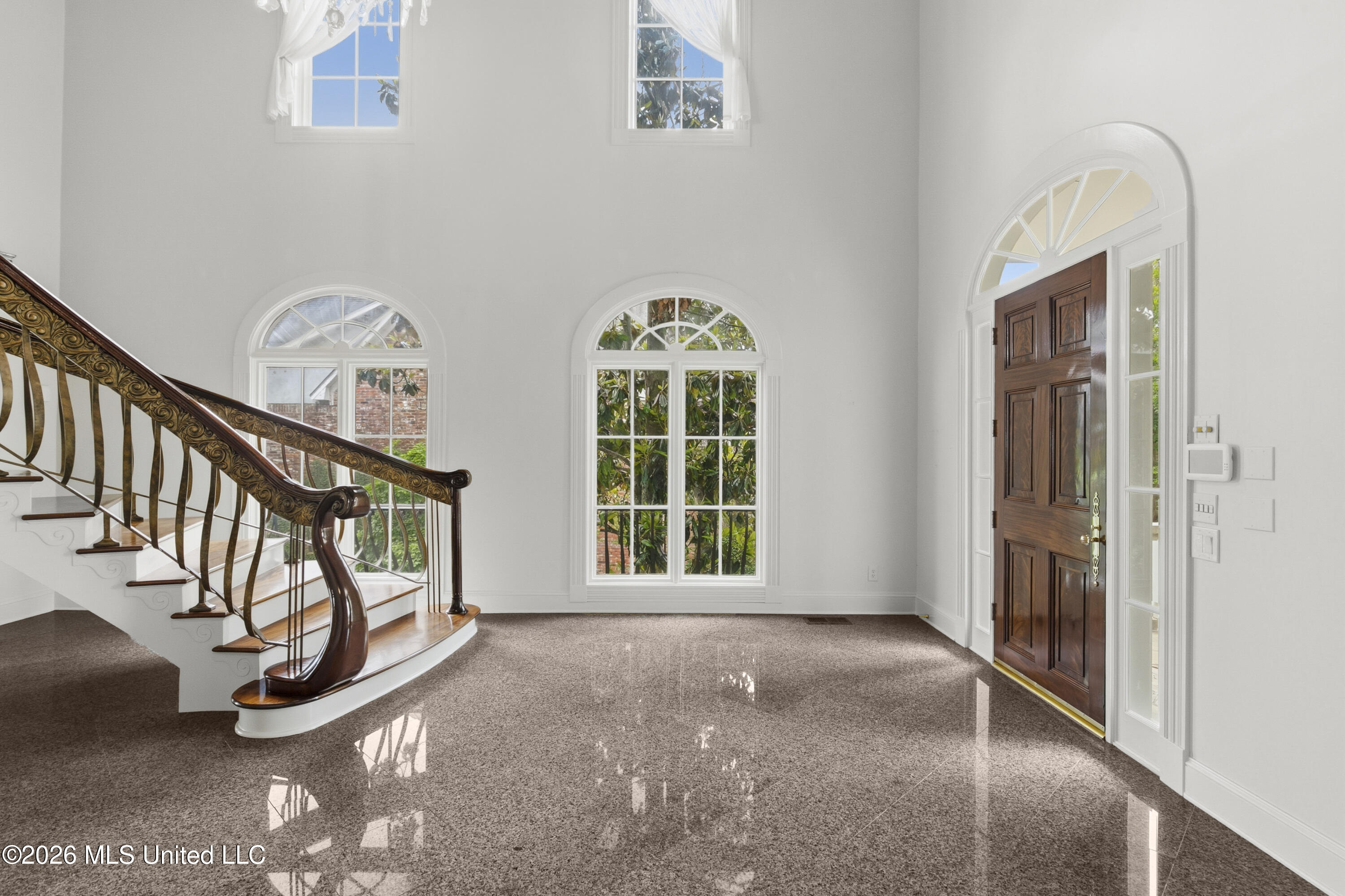 133 Overlook Pointe Drive Ridgeland, MS 39157 - Photo 11 of 93 Light Filled Foyer