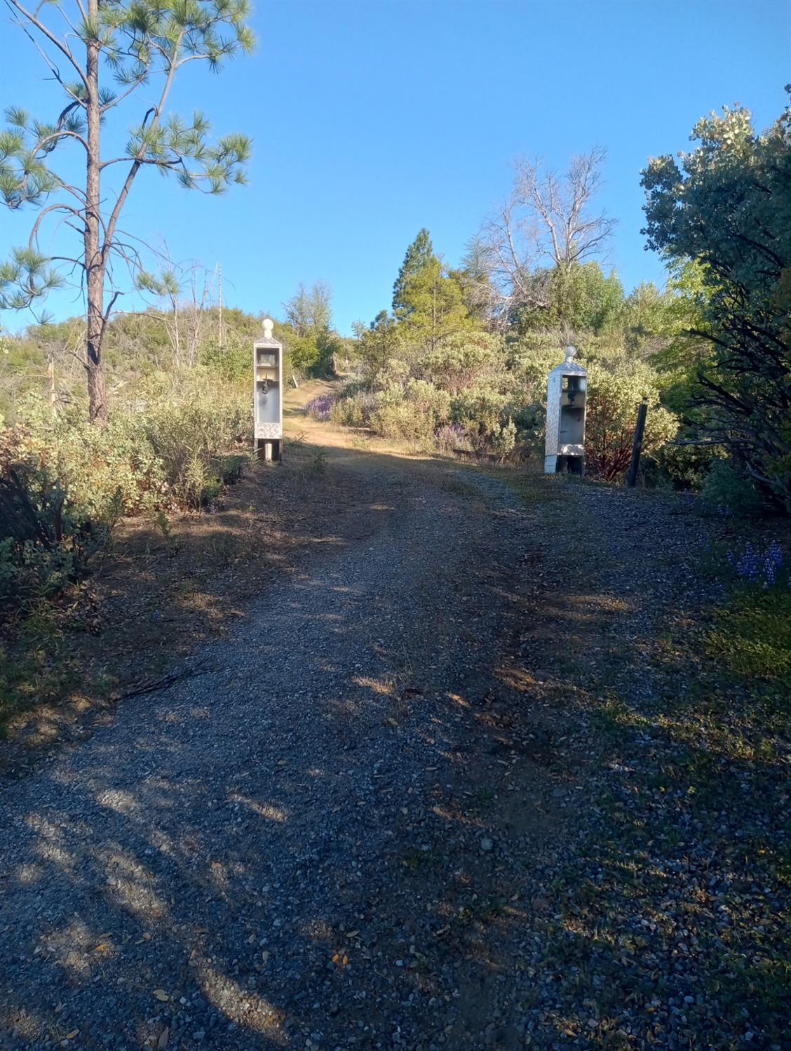a view of a yard with a house in the background