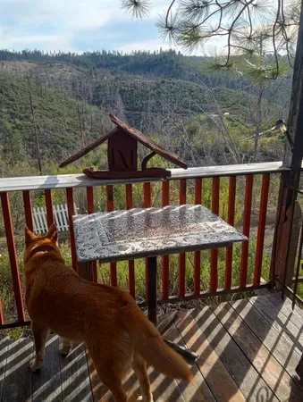 $119,000 | 16140 Baker Riley Way, Mokelumne Hill, CA 95245