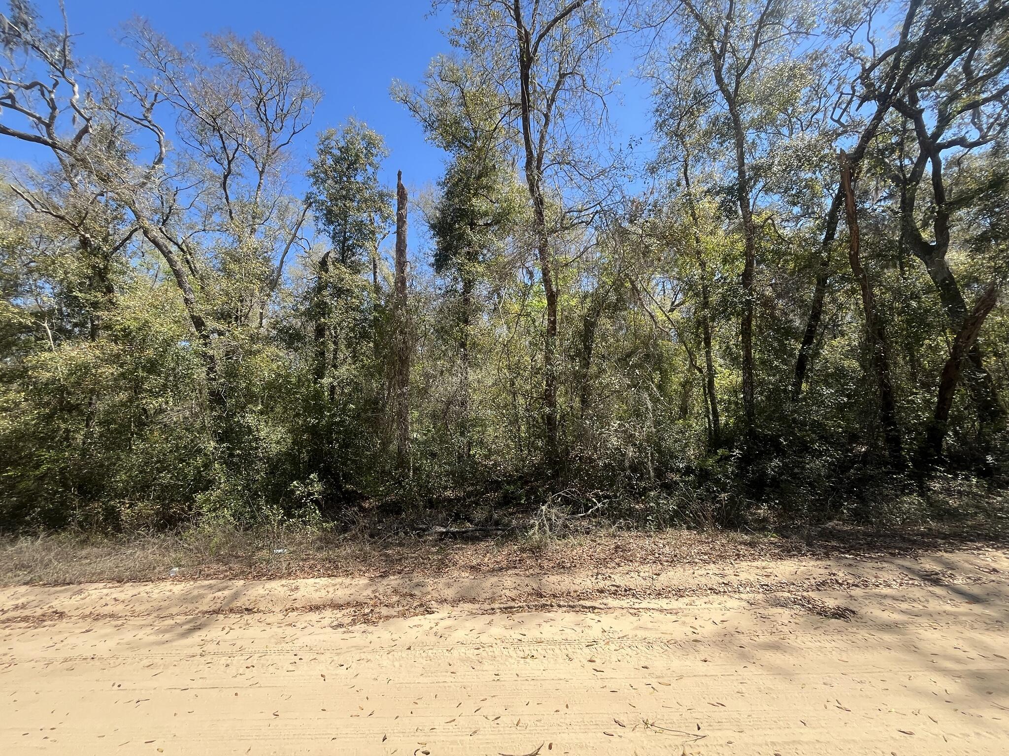 Tbd Walker Drive Interlachen, FL 32148 - Photo 3 of 6 1000000884