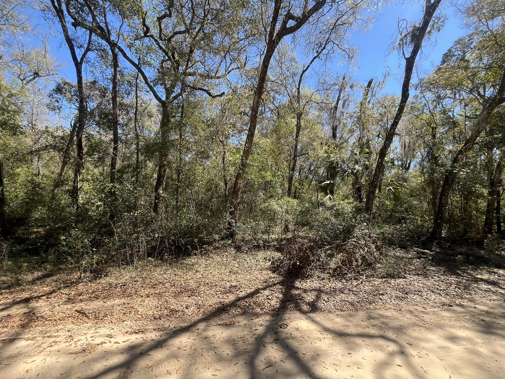 Tbd Walker Drive Interlachen, FL 32148 - Photo 4 of 6 1000000883