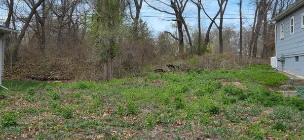 a view of backyard with green space