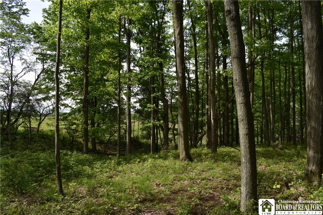 10133 Edward Corners Road Perrysburg, NY 14129 - Photo 19 of 28