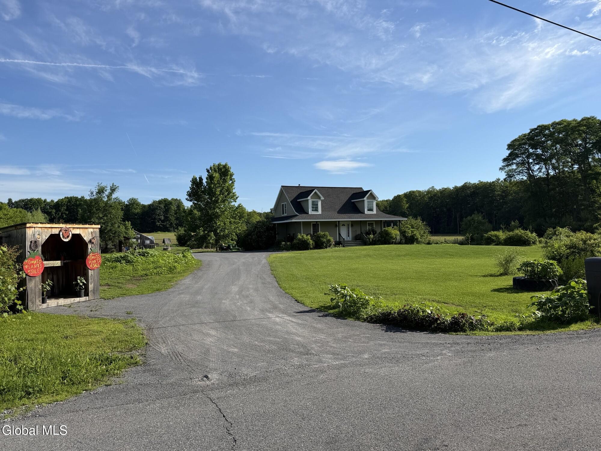 605 Plummer Road Ballston Spa, NY 12020 - Photo 11 of 64 Drive Front