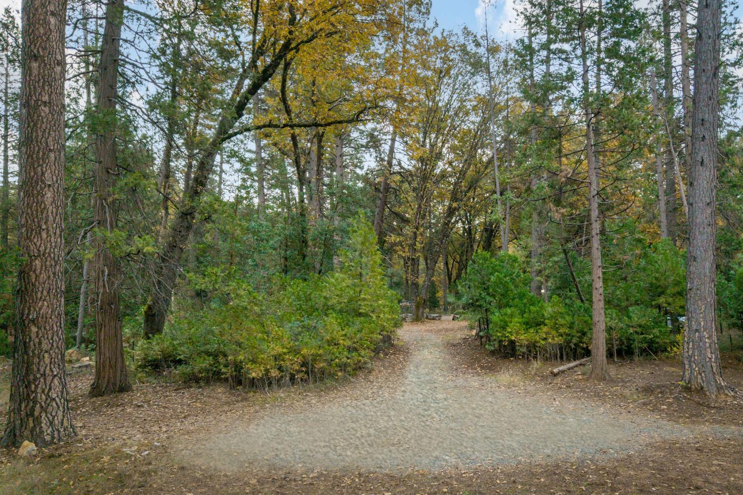 10376 Smith Road Grass Valley, CA 95949 - Photo 8 of 38