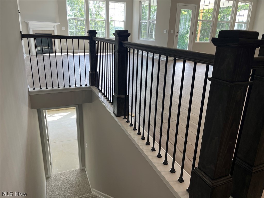 162 Seamore Road Aurora, OH 44202 - Photo 11 of 14 Carpeted staircase leading to walkout basement