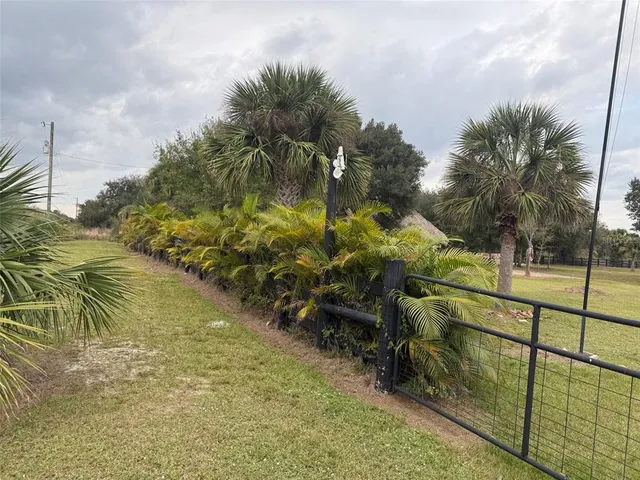 a view of a field of grass and trees