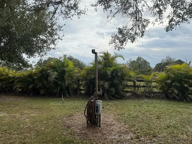 a view of a park with trees and a bench