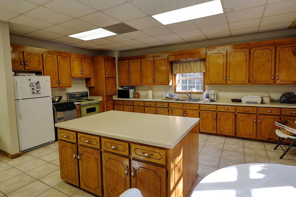 319 County Road Midland City, AL 36350 - Photo 7 of 31