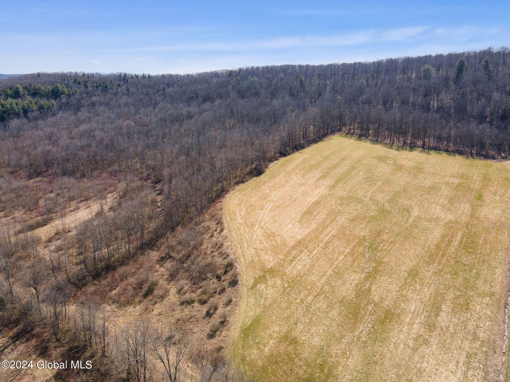 L5 Patrick Road Cobleskill, NY 12043 - Photo 4 of 9 18-web-or-mls-179PatrickRd_18