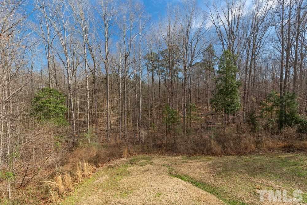 4401 Irene Way Raleigh, NC 27603 - Photo 28 of 30 Gorgeous view of the backyard