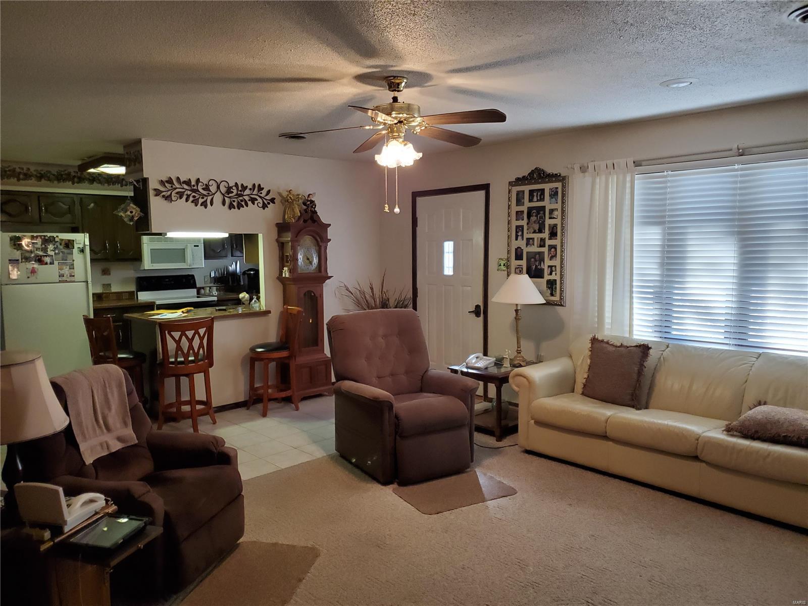 425 Van Zant Street Chester, IL 62233 - Photo 15 of 41 Gallery Image 15