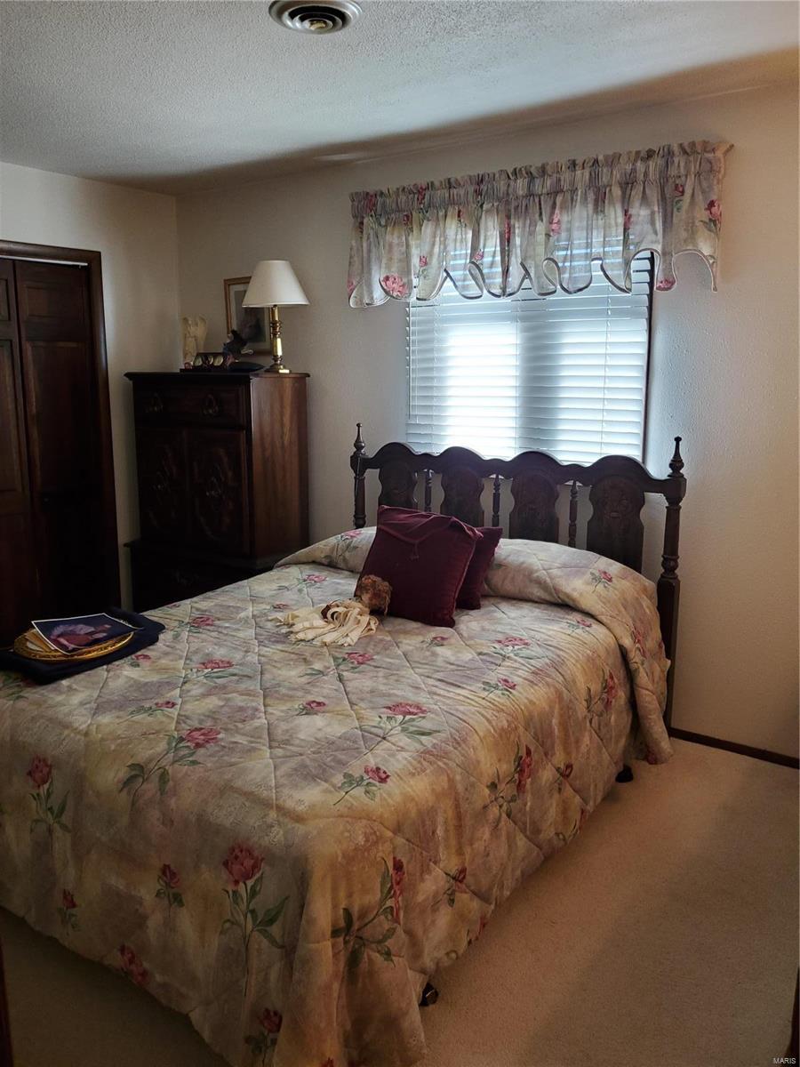 425 Van Zant Street Chester, IL 62233 - Photo 30 of 41 Gallery Image 30