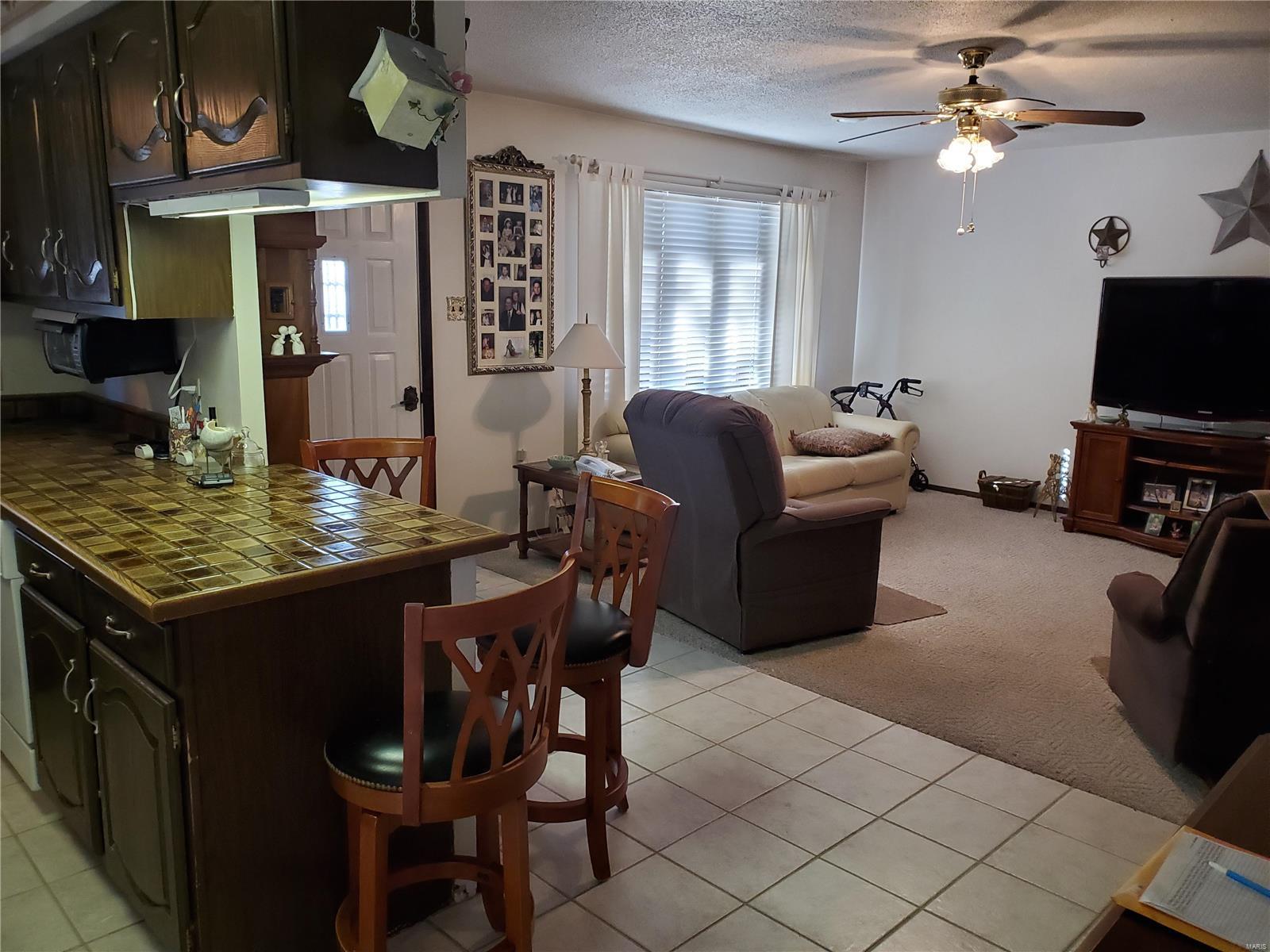 425 Van Zant Street Chester, IL 62233 - Photo 10 of 41 Gallery Image 10