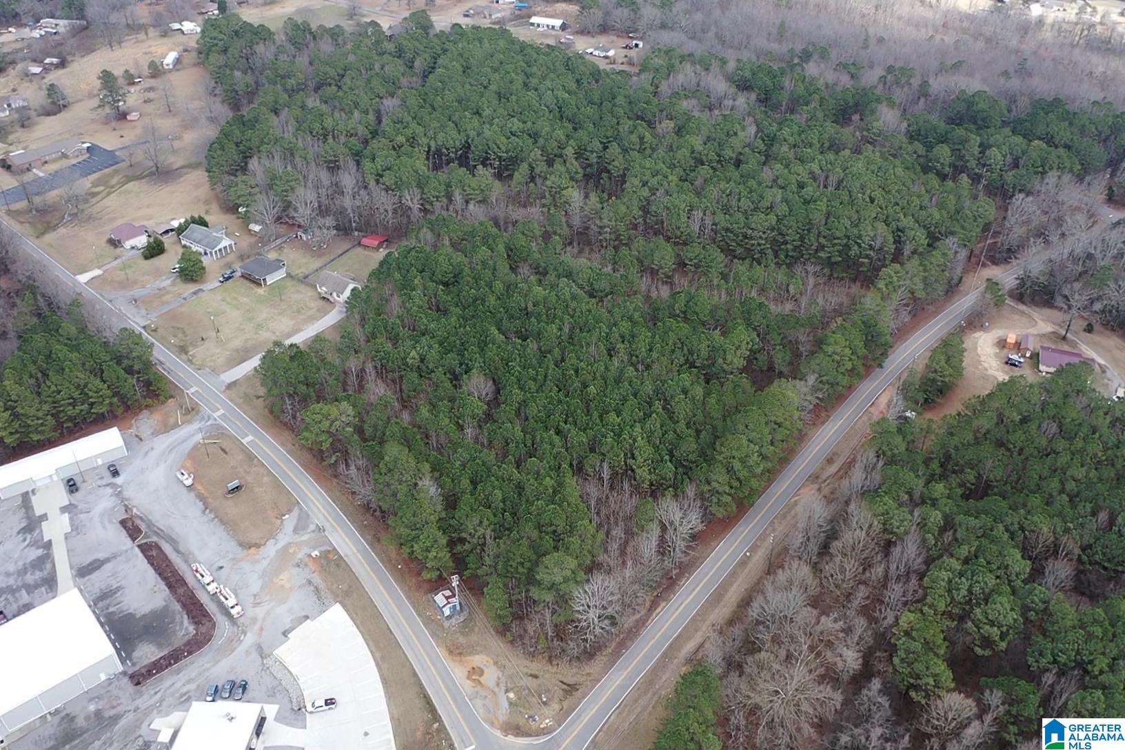 1689 Arkadelphia Road, Unit LOT 1 Warrior, AL 35180 - Photo 12 of 12