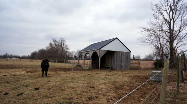 4686 Adams Mill Road Cadiz, KY 42211 - Photo 18 of 19 Gallery Image 18