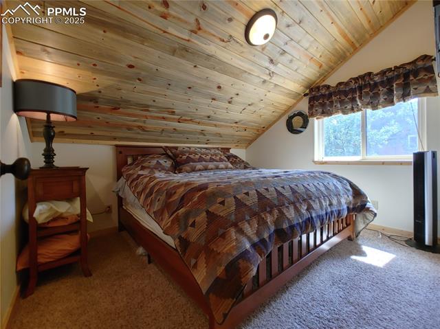 334 Pulver Road Lake George, CO 80827 - Photo 37 of 50 Private bedroom in the apartment